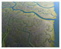 Labyrinth of Water