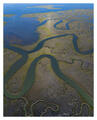 The Long Meander