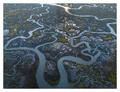 Silver Tributaries