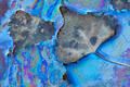Chromatic