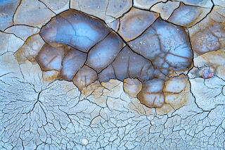 Cracked Mud Patterns