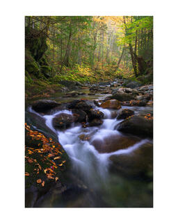 Headwaters of the White