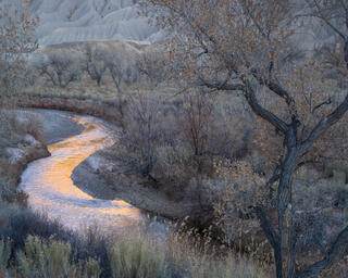 Meander