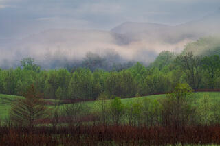 Ephemeral Spring