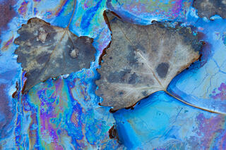 Chromatic