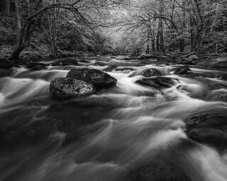 Middle Prong River Mono #1