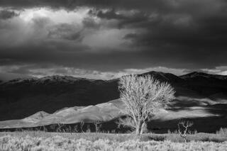 Held Against the Storm