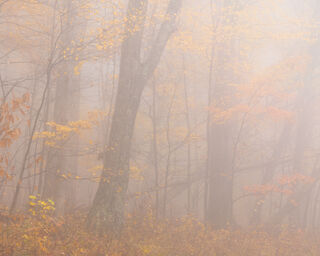 Landscape, advertising, color landscapes, comercial, corporate, dramatic, publication, scenic, stock, virginia
