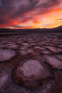 Desert Tiles
