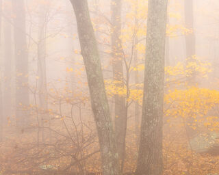 Landscape, advertising, color landscapes, comercial, corporate, dramatic, publication, scenic, stock, virginia