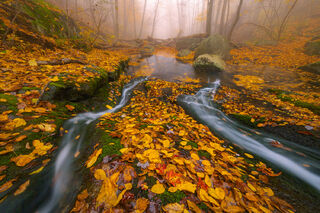 Landscape, advertising, color landscapes, comercial, corporate, dramatic, publication, scenic, stock, virginia