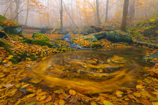 Landscape, advertising, color landscapes, comercial, corporate, dramatic, publication, scenic, stock, virginia