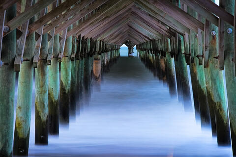 Low Country Photo Workshop - March 16-21, 2025 - 3 Spaces Open