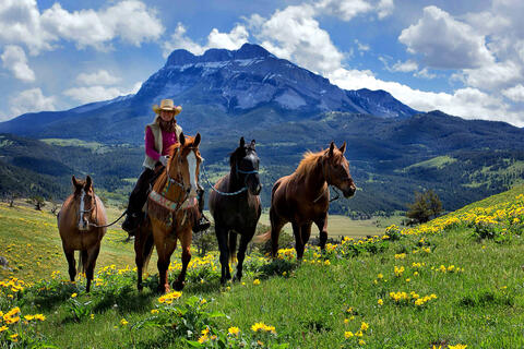 Summer Western Ranch Experience Photo Workshop - June 7-10, 2024 - Coming Soon