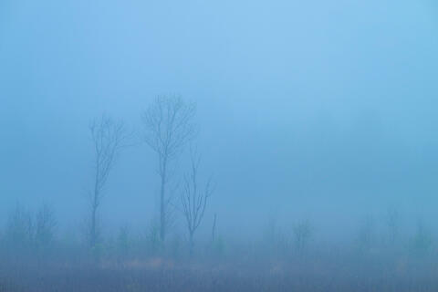 Blue Hour