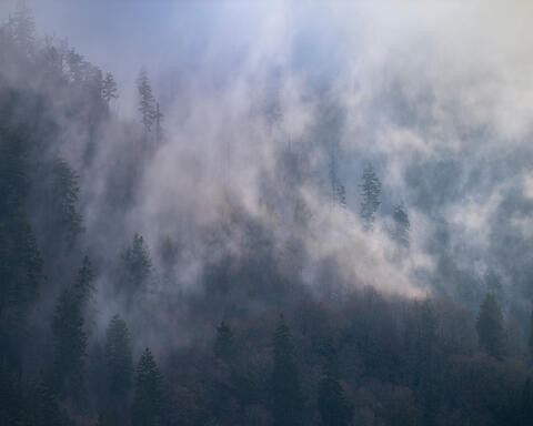 Breath and Mist