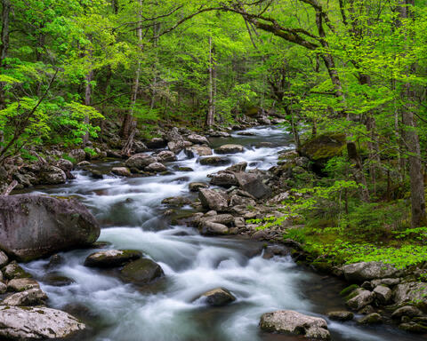 Endless Flow