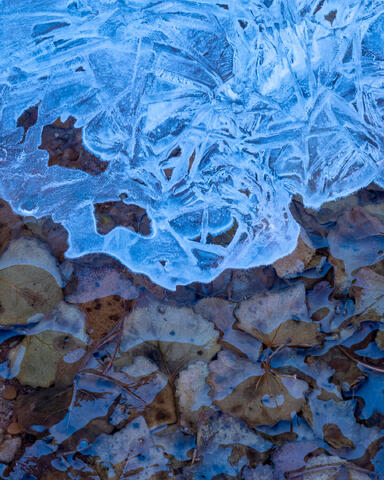 Thaw