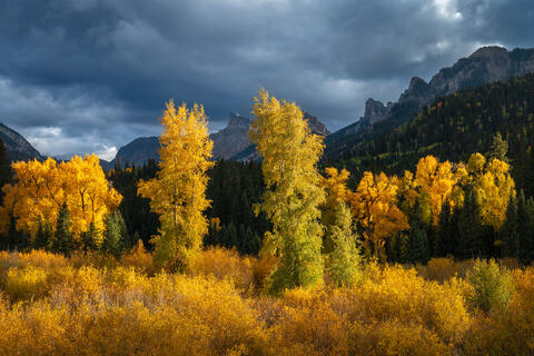 From Grand Landscapes to Intimate Scenes: Photographing the Many Faces of Autumn