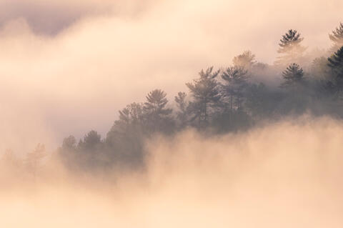 Breath of the Smokies