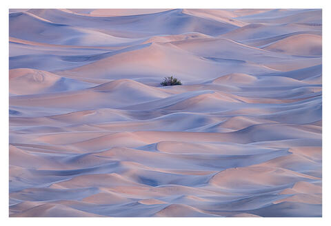 Death Valley & Alabama Hills Winter Photography Workshop
