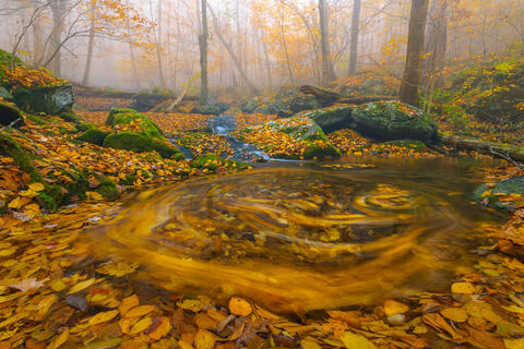 Autumn in the Great Smoky Mountains Photo Workshop - October 22-26, 2023 - 2 Spots Open