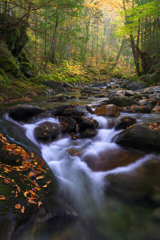 Fine art landscape photograph of autumn stream and forest in the Green Mountains of Vermont by Joseph Rossbach, available as a limited edition archival print.
