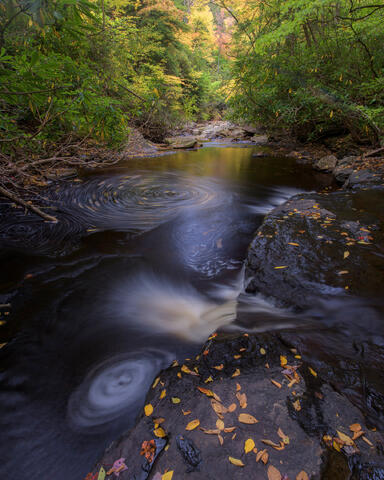 Fine art landscape photograph of forest stream with swirling water in Monongahela National Forest, West Virginia by Joseph Rossbach.
