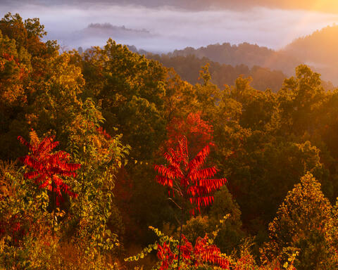 Limited edition fine art photograph of Appalachian mountains in peak autumn color with warm evening light by Joseph Rossbach.