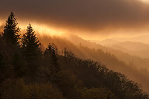 Springtime in the Great Smoky Mountains - April 20-24, 2025