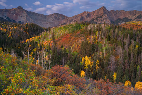 Autumn in the High Country