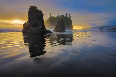 Olympic National Park Photography Workshop - May 14-17, 2023
