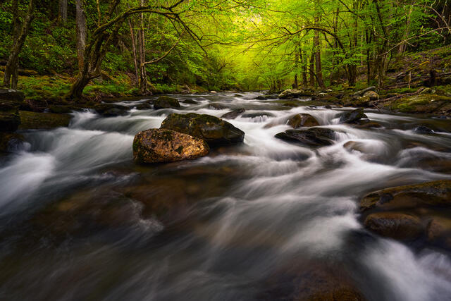 Middle Prong River Glow