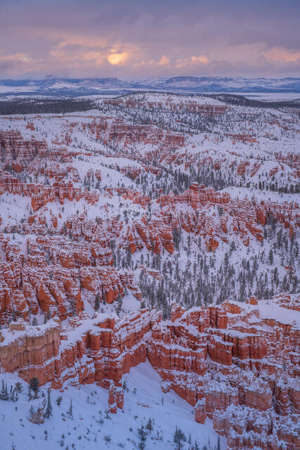 After the Snow from Bryce Point