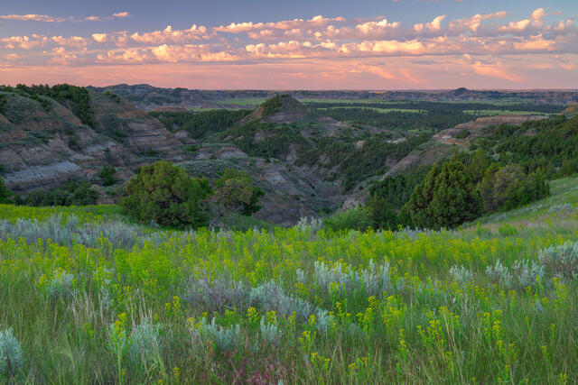 Morning Calm, Makoshika State Park