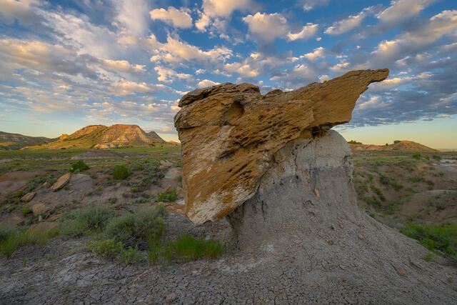 Stone Sentinel, Terry Badlands
