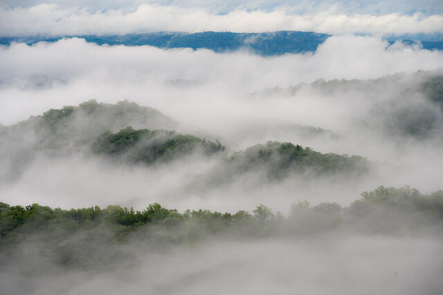 Layered mountain ridges and morning fog from Skyline Drive in Shenandoah National Park, Virginia