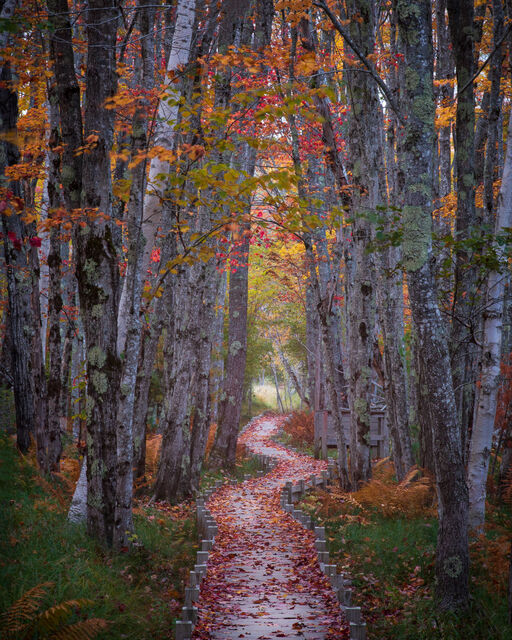 Winding Down the Jessup Path