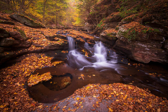 Fine art landscape photograph of autumn waterfall and forest in Ricketts Glen State Park, Pennsylvania by Joseph Rossbach, available as a limited edition archiv