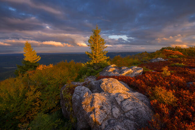 Fine art landscape photograph of golden hour and mountain ridges in Dolly Sods Wilderness, West Virginia by Joseph Rossbach, available as a limited edition arch