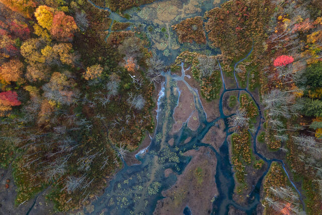 Aerial fine art landscape photograph of autumn wetlands in the Endless Mountains of Pennsylvania by Joseph Rossbach, available as a limited edition archival pri