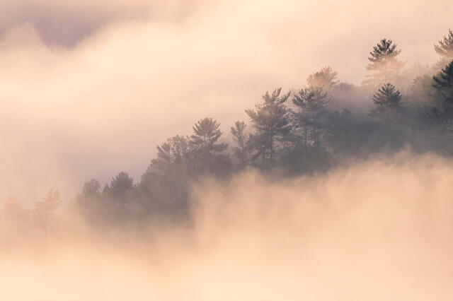 Fine art landscape photograph of mist drifting across an Appalachian ridge by Joseph Rossbach, available as a limited edition archival print.