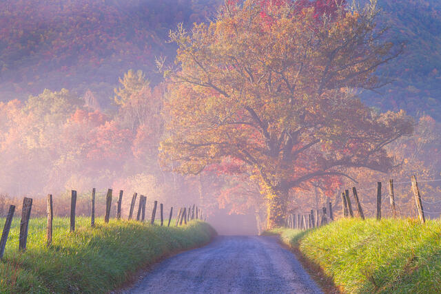 Fine art landscape photograph of a foggy Appalachian country road in autumn by Joseph Rossbach, museum-quality limited edition print.