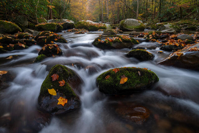 Limited edition fine art photograph of Appalachian forest boulders and flowing stream by Joseph Rossbach.
