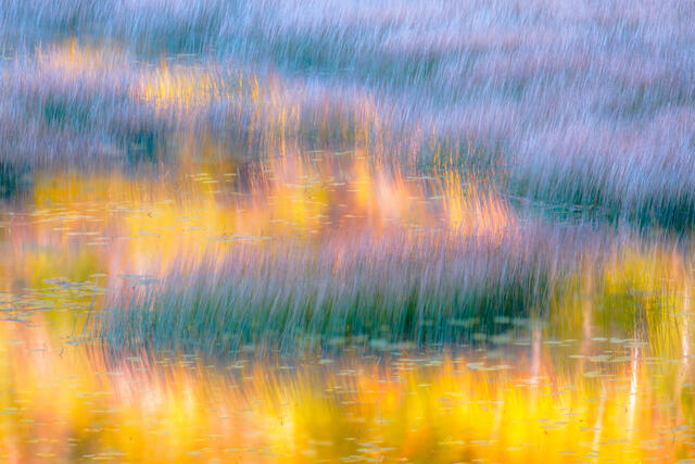Autumn reflections in the tarn in Acadia National Park. 
