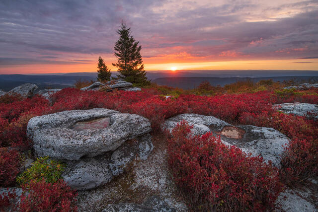 Autumn sunrise from Bear Rocks Preserve in the Dolly Sods Wilderness of West Virginia. 