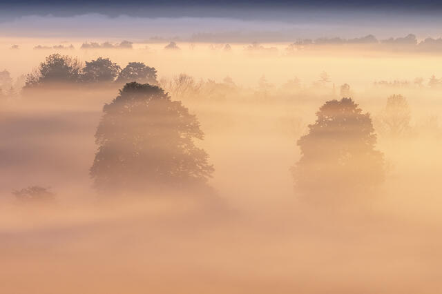 Canaan Valley Sunrise