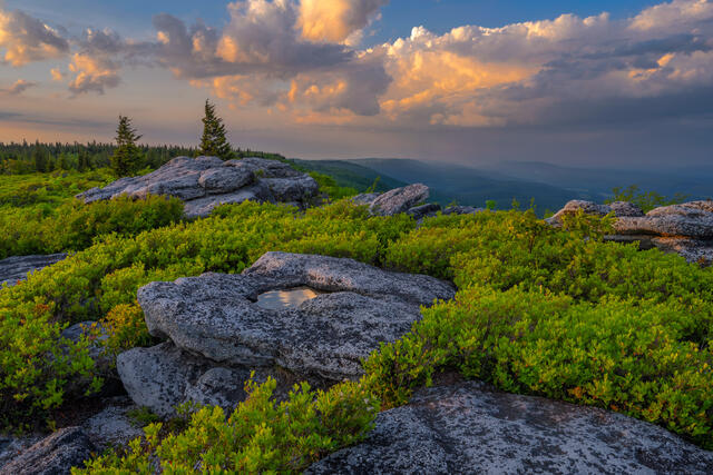 Bear Rocks Spring Vista