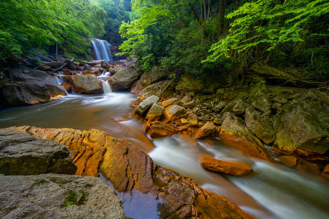 Douglas Falls 