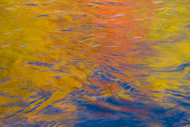 Sandy River Reflections